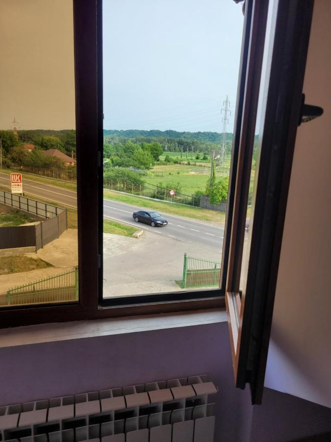 Motel Minerva Tîrgu Ocna エクステリア 写真
